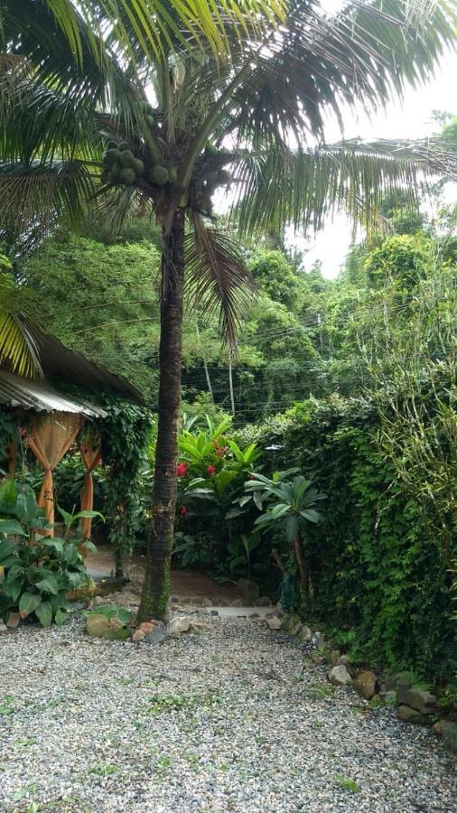 Suíte Cocaia Ilhabela Exterior foto