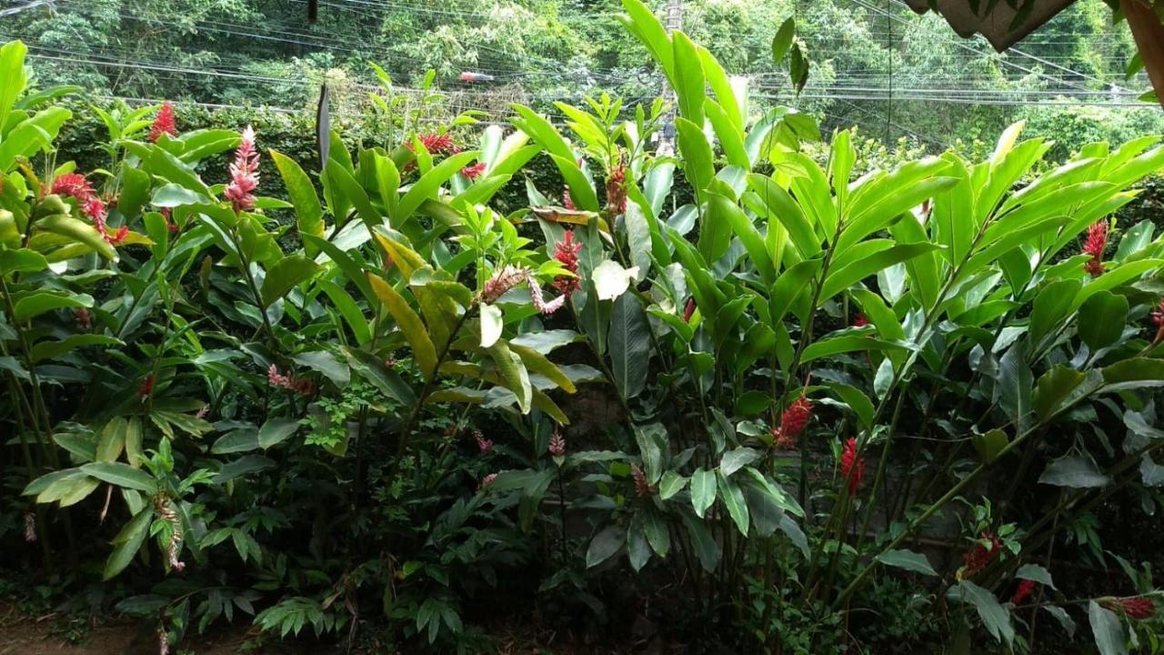 Suíte Cocaia Ilhabela Exterior foto